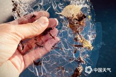 我国多地寒意10月中旬罕见 未来一周气温仍低迷
