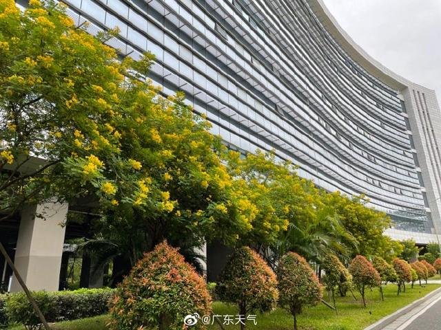 广东与冷空气正式“会晤” 降雨降温齐“上线”