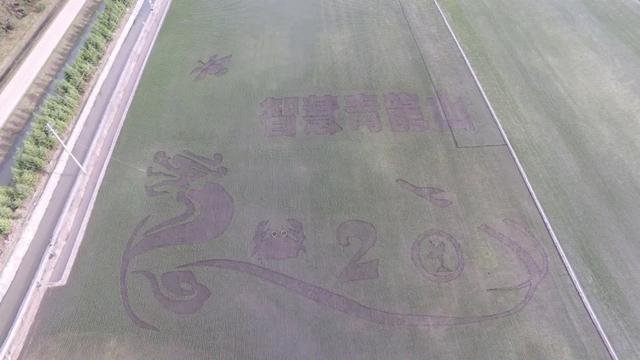 青龙山：推进高标准农田建设