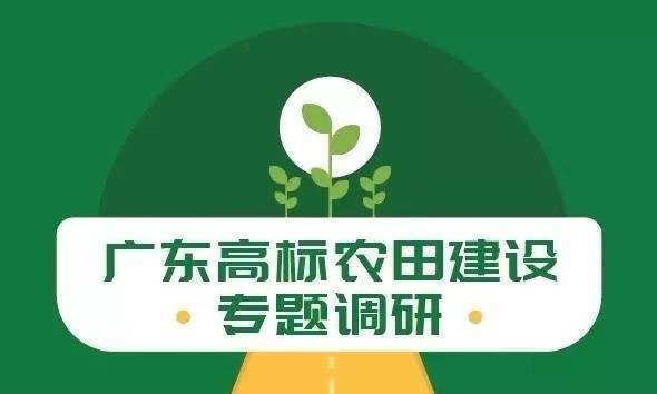 先建后补！广州探索高标准农田建设新模式