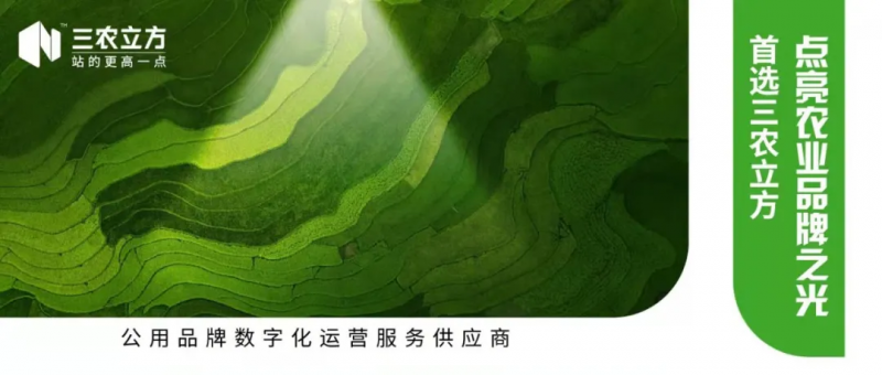 胶州大白菜为什么这么好吃？一篇文章把它讲清说透！