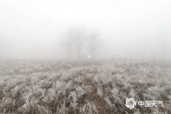 本周中东部冷空气频繁 东北等地有降雪 