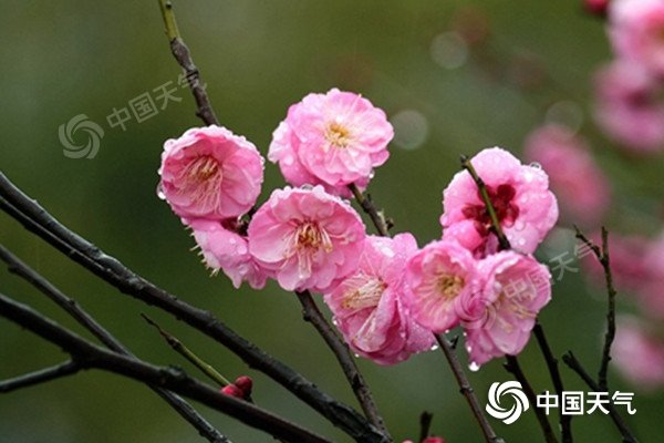中东部大范围雨雪再上线 长江中下游等地感受“湿冷魔法攻击”