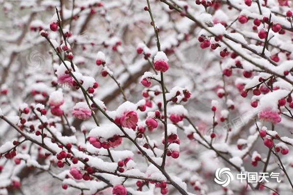 南方雨雪今天按下“暂停键” 明天大范围降水又“上线”