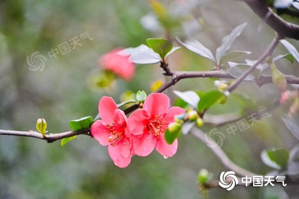 南方阴雨雪天气贯穿本周 北方气温先升后降