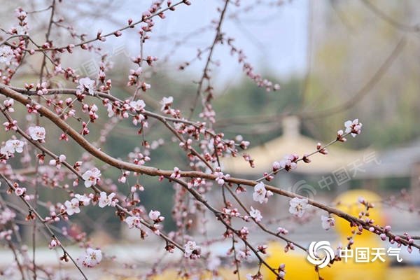 冷暖反转！北方局地仍有暴雪现身 多地累计降温或超20℃ 