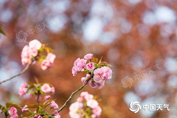 新冷空气继续东移 中东部雨雪大风降温齐上阵 