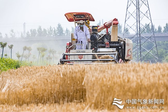 全链条气象服务保障4280万亩小麦丰产