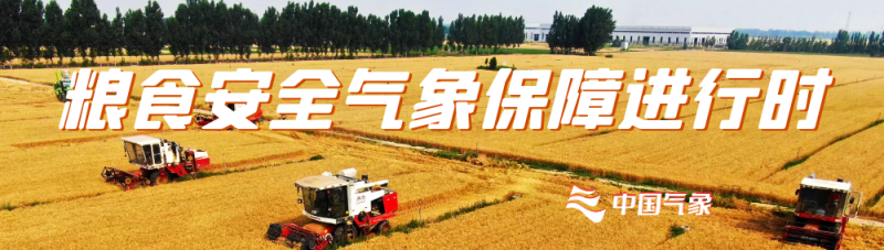 “夏管”，到底管什么？为何直接关系秋粮产量？