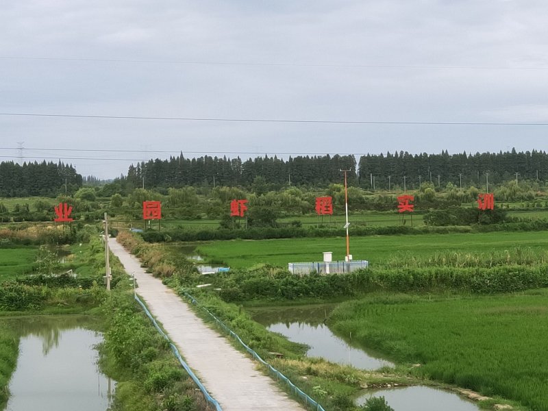 高质量气象服务为湖北农业发展穿上“金钟罩”