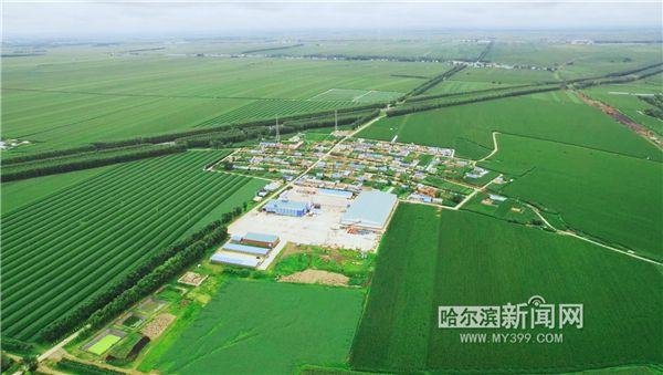 筑牢粮食安全“压舱石”｜哈尔滨大力推进高标准农田建设，农业综合生产能力