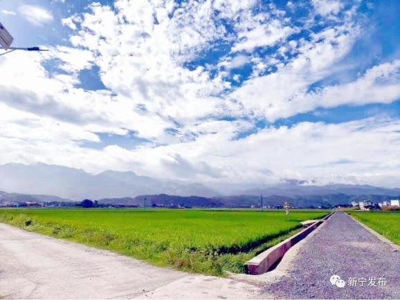 新宁：高标准农田改造保增收稳“耕”基