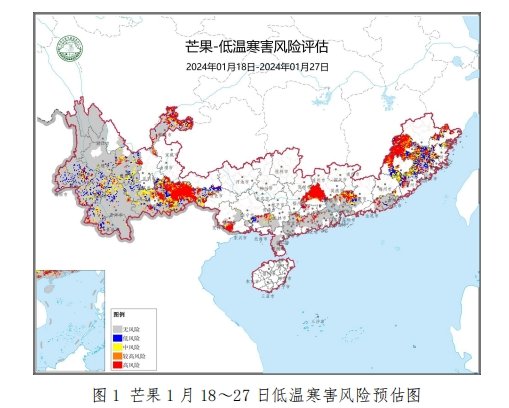 2024年热带水果气象服务专题第2期