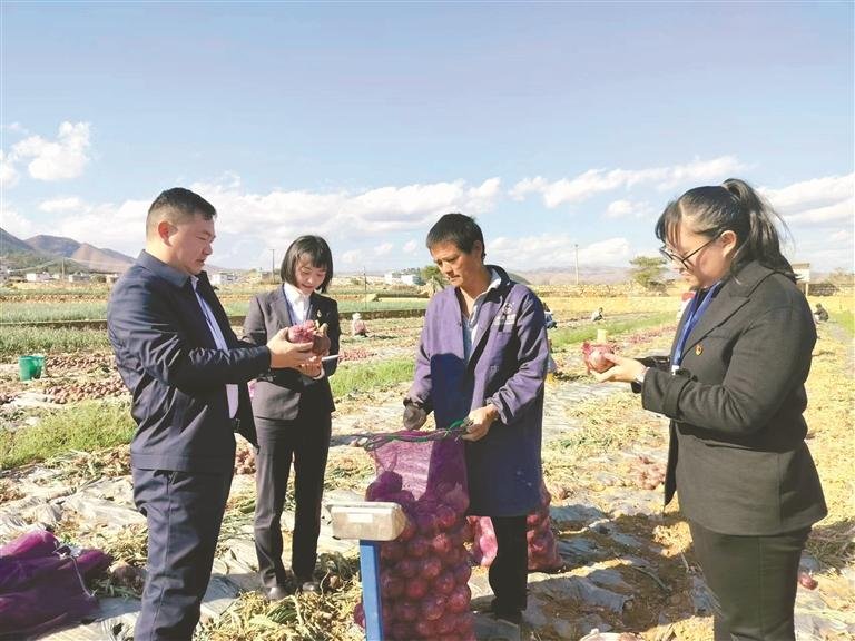   学习贯彻三次全会精神在行动·“强化以案促改以案促治”系列报道⑦  云南红河压实责任建章立制 监督护航高标准农田建设