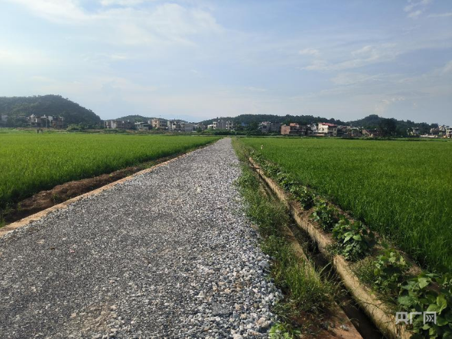 高标准农田建设让粮田变“良田”