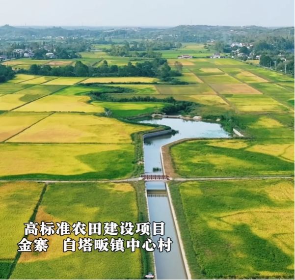中心村：高标准农田建设让村民种地更轻松，粮食更增产