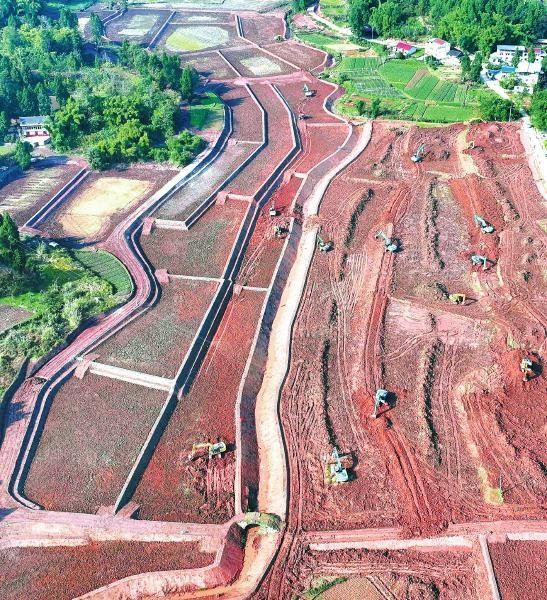 2024年，四川高质量推进高标准农田建设 整区域推进 让更多“粮田”变“良田”
