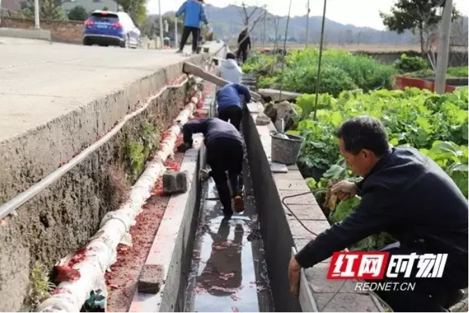 衡山县：高标准农田建设项目按下“加速键”