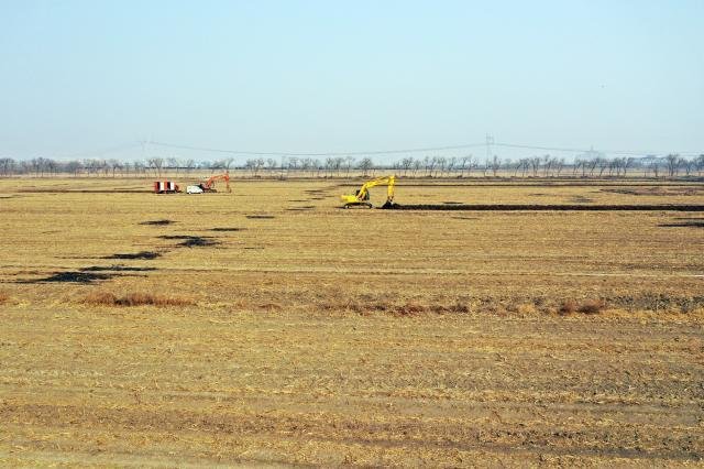 津南区新建3700亩高标准农田