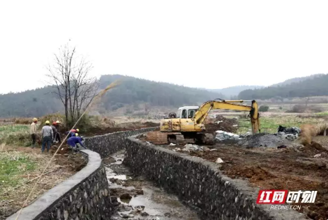 临武：四月中旬完工 高标准农田建设“赶”春耕