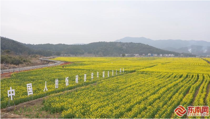 建阳高标准农田建设植入“生态+旅游”基因